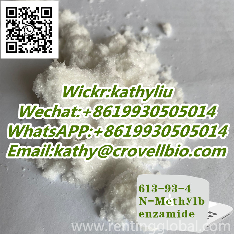www.rentingglobal.com, renting, global, China, 613-93-4,n-methylbenzamide, 613-93-4 N-Methylbenzamide powder with fast delivery and certification +8619930505014