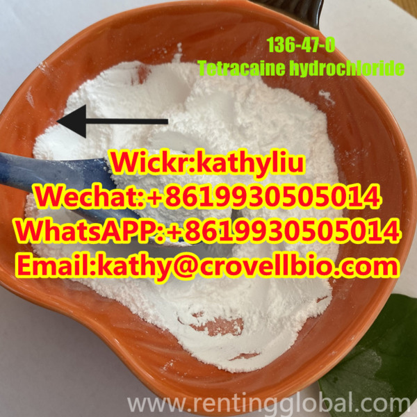 www.rentingglobal.com, renting, global, Chicago, IL, USA, tetracaine,tetracaine hydrochloride,tetracaine hcl,136-47-0,tetracaine eye drops,tetracaine lollipops, Tetracaine factory 136-47-0 Tetracaine hydrochloride / hcl 8619930505014