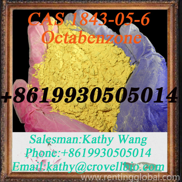 www.rentingglobal.com, renting, global, Gerrard St, London W1D 5PT, UK, uv absorber-531,uv,1843-05-6,octabenzone,powder, UV absorber-531 factory CAS 1843-05-6 Octabenzone powder 8619930505014