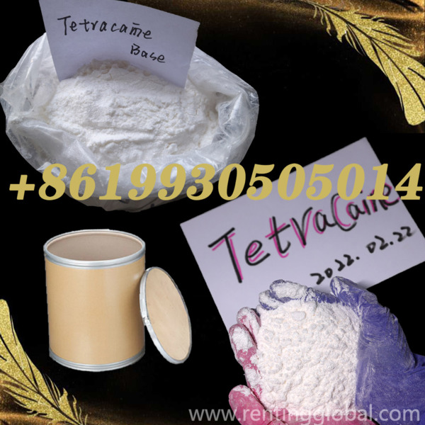 www.rentingglobal.com, renting, global, Gerrard St, London W1D 5PT, UK, tetracaine hcl,tetracaine,tetracaine base,94-24-6, Tetracaine manufacturer supply CAS 94-24-6 Tetracaine hcl / base +8619930505014
