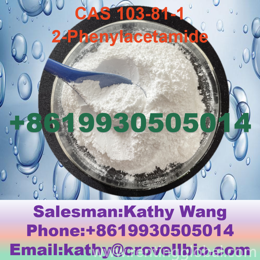 www.rentingglobal.com, renting, global, 133 New Bridge Rd, Singapore 059413, 103-81-1,2-phenylacetamide,phenylacetamide, China manufacturer supply 2-Phenylacetamide contact Kathy 8619930505014