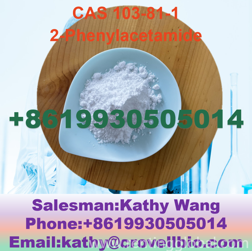 www.rentingglobal.com, renting, global, China, phenylacetamide,2-phenylacetamide,103-81-1,cas 103-81-1, 2023 New batch 99% CAS 103-81-1 2-Phenylacetamide 8619930505014