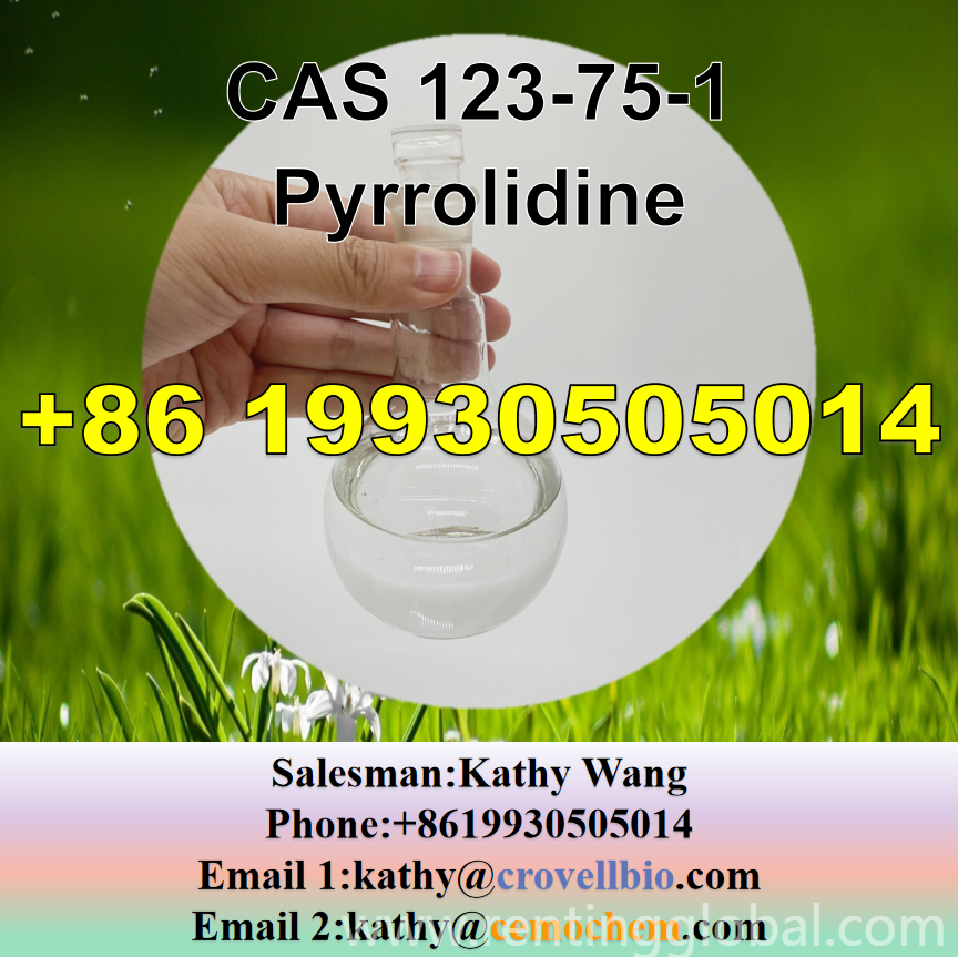 www.rentingglobal.com, renting, global, China, pyrrolidine,123-75-1,cas 123-75-1, Pyrrolidine manufacturer supply 99% CAS 123-75-1 Pyrrolidine 8619930505014