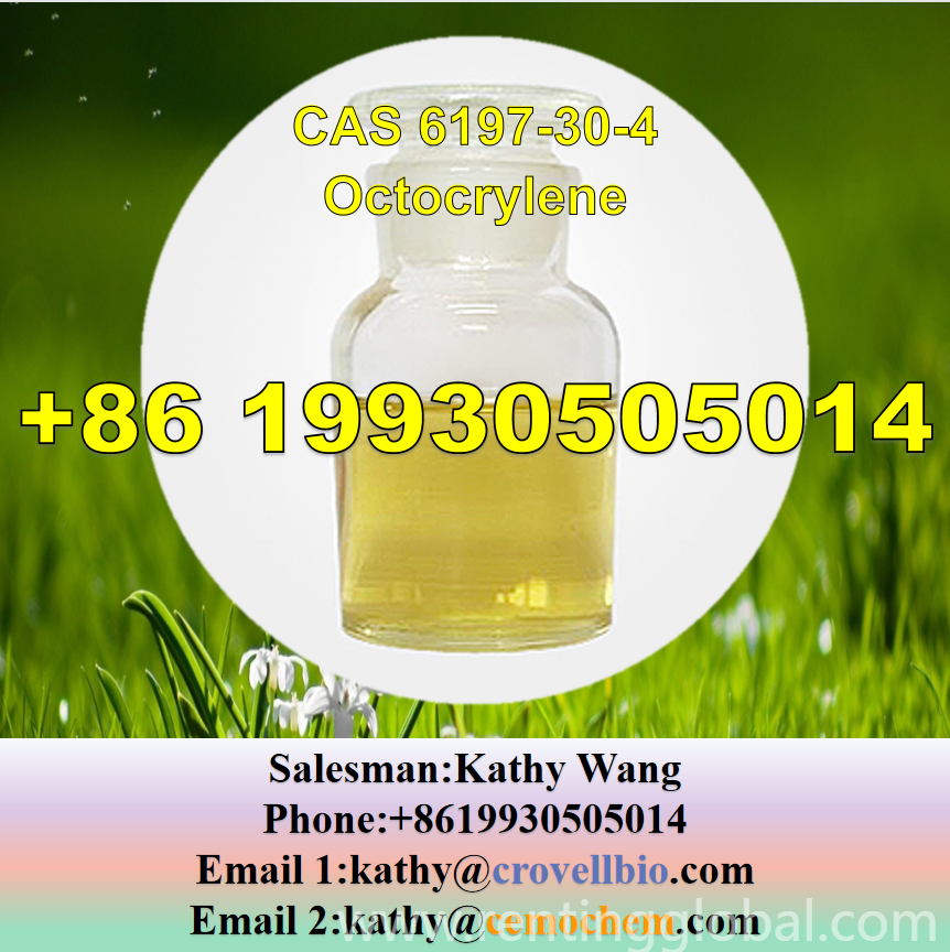 www.rentingglobal.com, renting, global, China, octocrylene ，,6197-30-4,cas 6197-30-4, 99% CAS 6197-30-4 Octocrylene with enough stock 8619930505014