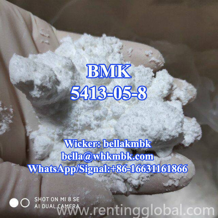 www.rentingglobal.com, renting, global, Gerrard St, London W1D 5PT, UK, bmk powder, New bmk powder bmk glycidate cas 5413-05-8 with safe delivery to UK