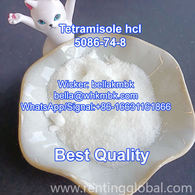 www.rentingglobal.com, renting, global, Gerrard St, London W1D 5PT, UK, tetramisole hcl, Tetramisole hydrochloride cas 5413-05-8 Tetramisole hcl with factory price