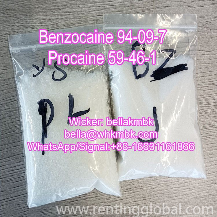 www.rentingglobal.com, renting, global, Wuhan, Hubei, China, procaine, Buy Procaine HCl Procaine CAS 51-05-8 Procaine with Best Price
