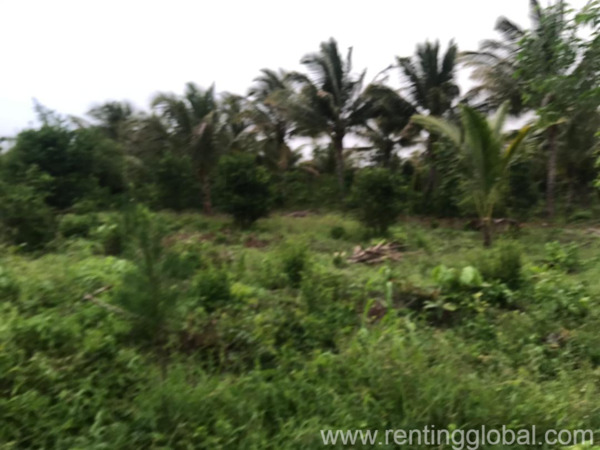 www.rentingglobal.com, renting, global, Zanzibar, Tanzania, zanzibar beach,zanzibar plot,zanzibar land for sale.,beach land zanzibar,sea view land zanzibar,south coast zanzibar,zanzibar farm land, Plot at Muyuni South Zanzibar for sale 
