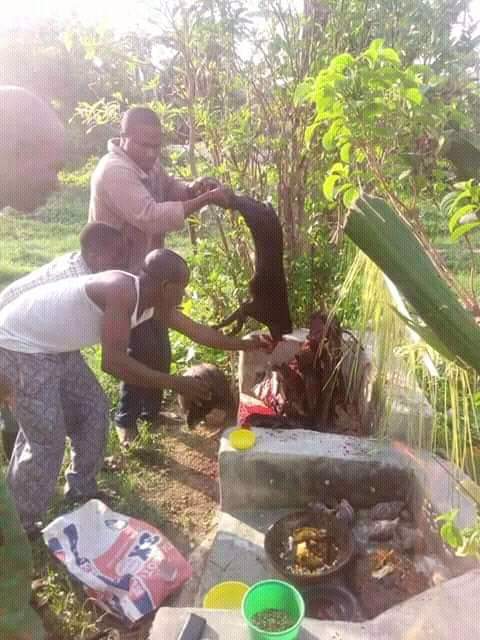 www.rentingglobal.com, renting, global, West Palm Beach, FL, USA, instant death,revenge death spells,powerful instant death spells,black magic instant death spells,overnight instant death spell in uk usa asia europe canada, I Need Revenge Instant Death Spell Caster TO Kill Contact Dr Garuba