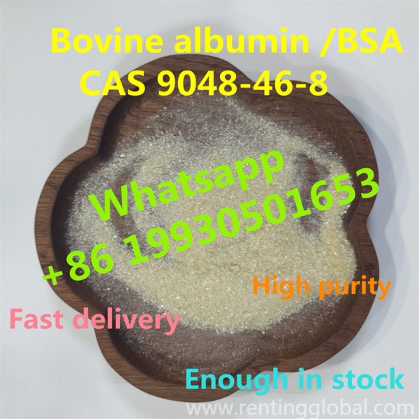 www.rentingglobal.com, renting, global, China, bovine albumin,bovine albumin supplier,bovine albumin factory,high quality bovine albumin,bovine albumin purity 99%,china supplier bovine albumin,chinese factory bovine albumin, Chinese factory sell Bovine albumin with CAS 9048-46-8 BSA (whatsapp +8619930501653)