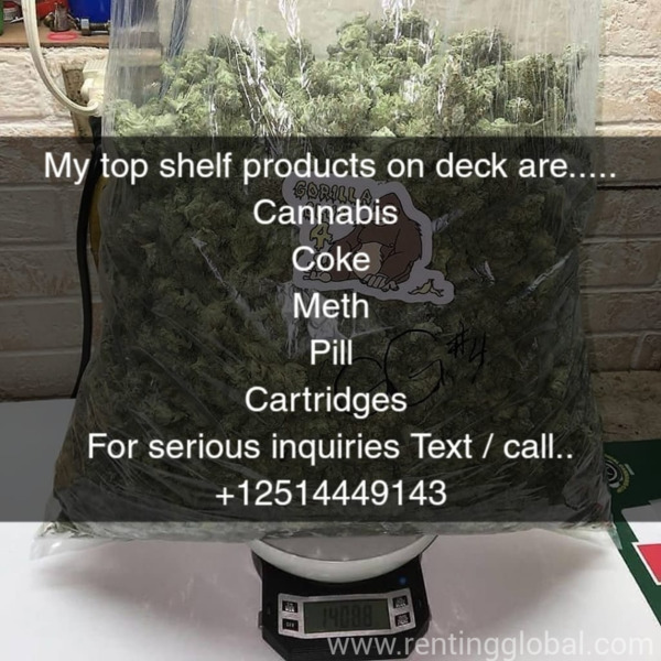 www.rentingglobal.com, renting, global, Melbourne VIC, Australia, marijuana, Top shelf medical marijuana 