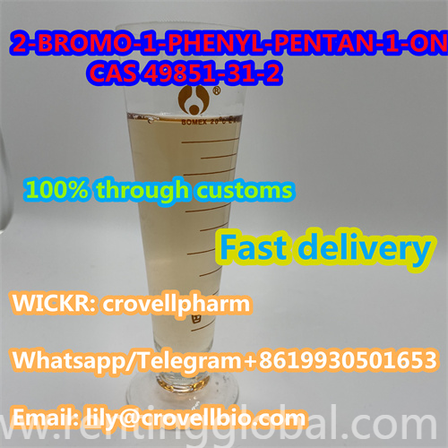 www.rentingglobal.com, renting, global, Chinatown, New York, NY, USA, 2-bromovalerophenone,49851-31-2,2-bromovalerophenone supplier,2-bromovalerophenone factory,sell 2-bromovalerophenone,2-bromovalerophenone in stock,2-bromovalerophenone liquid,high qulaity 2-bromovalerophenone,2-bromovalerophenone with fast delivery,2-bromovalerophenone with high quality, 2-Bromovalerophenone supplier with cas 49851-31-2 from china (whatsapp +8619930501653