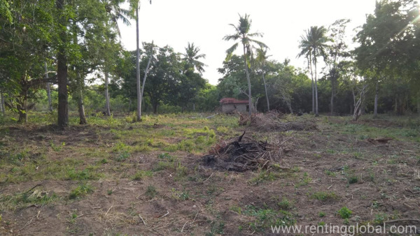 www.rentingglobal.com, renting, global, Puttalam, Sri Lanka, sale, Land sale for 5 acres 