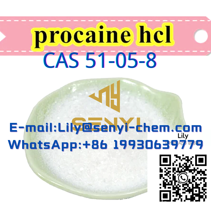 www.rentingglobal.com, renting, global, Xi'An, Shaanxi, China, White Powder Procaine HCl Price for Sale Buy Online (+8619930639779 Lily@senyi-chem.com)