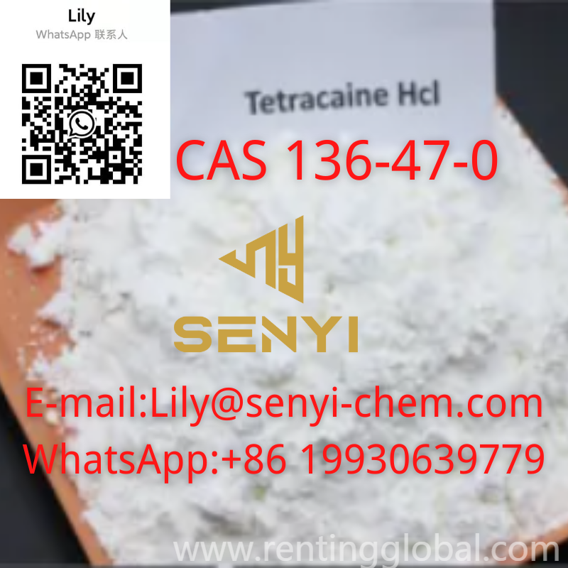 www.rentingglobal.com, renting, global, Xi'An, Shaanxi, China, Tetracaine HCL(+8619930639779 Lily@senyi-chem.com)