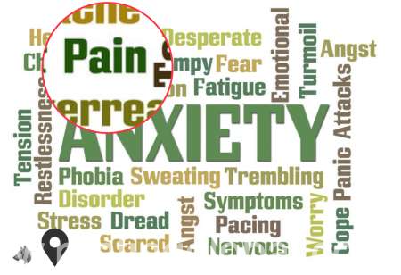 www.rentingglobal.com, renting, global, Florida Keys, Florida, USA, buy adderall 30mg,purchase oxycodone secure,buy xanax 2mg anxiety pills,buy ketamine 100mg-ml, Buy Adderall, Xanax, Oxycodone Original Pharmacy Pills Discrretly