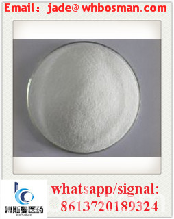 www.rentingglobal.com, renting, global, Wuhan, Hubei, China, methylamine hydrochloride593-51-1, 99% purity high quality Methylamine hydrochloride593-51-1