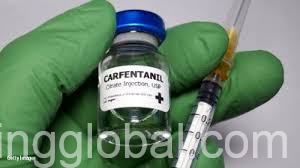 www.rentingglobal.com, renting, global, London, UK, Buy-carfentanil-online