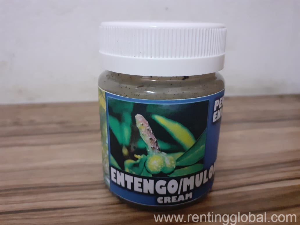 www.rentingglobal.com, renting, global, Durban, South Africa, Add Power & Size On Your Manhood Naturally Call +27710732372 Durban