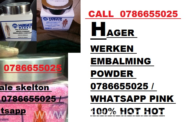 www.rentingglobal.com, renting, global, 83 Rivonia Rd, Sandhurst, Sandton, 2196, South Africa, hager,werken,embalming,powder,supplier, supplier for hager werken embalming compound powder 0786655025