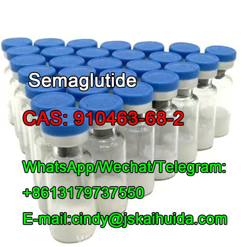 www.rentingglobal.com, renting, global, China, 910463-68-2,semaglutide, CAS:	910463-68-2	Semaglutide 