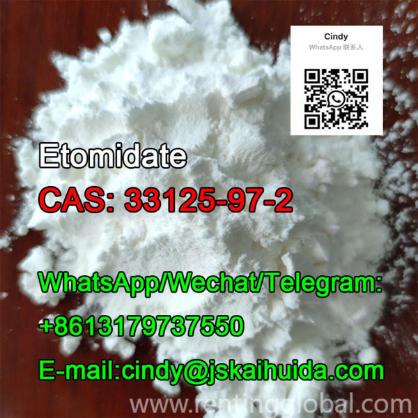 www.rentingglobal.com, renting, global, China, 33125-97-2,etomidate, CAS:	33125-97-2	Etomidate 99%  Factory Supply  High Purity