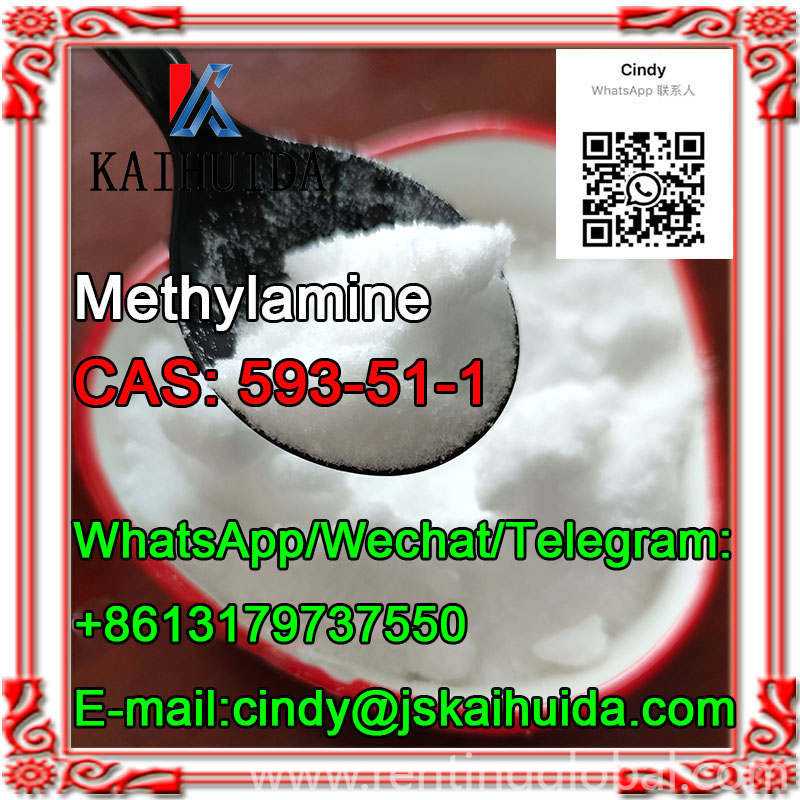 www.rentingglobal.com, renting, global, China, 593-51-1,methylamine hydrochloride, CAS:	593-51-1		Methylamine hydrochloride