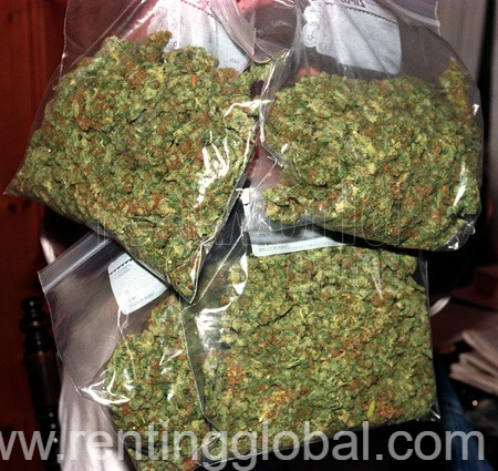 www.rentingglobal.com, renting, global, Atlanta, GA, USA, marijuana,ogkush,hermpoil,cannabis, Medical Marijuana,Cannabis oil,Moonrock,Cbd,Seeds and OG Kush available