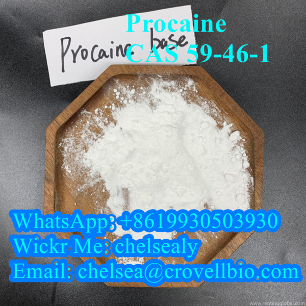 www.rentingglobal.com, renting, global, Shijiazhuang, Hebei, China, procaine suppliers,cas 59-46-1, Procaine CAS 59-46-1.WhatsApp: +8619930503930 Wickr Me: chelsealy Email: chelsea@crovellbio.com
