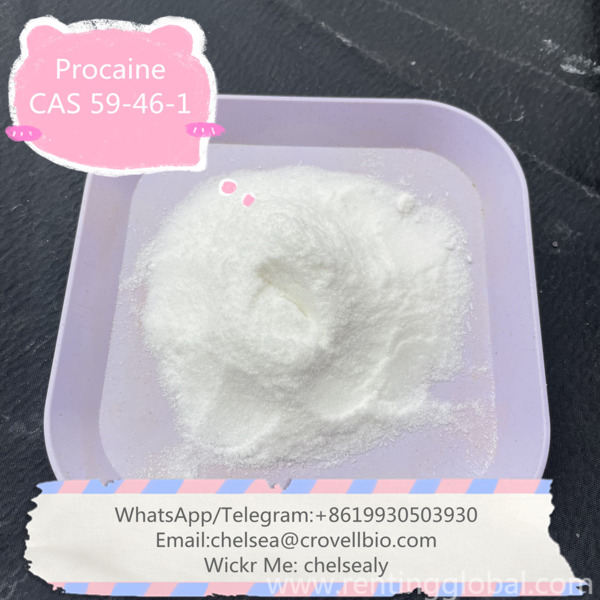 www.rentingglobal.com, renting, global, Shijiazhuang, Hebei, China, procaine suppliers,buy procaine,procaine price,procaine factory,59-46-1, Factory Procaine price CAS 59-46-1 in China stock.WhatsApp:+8619930503930