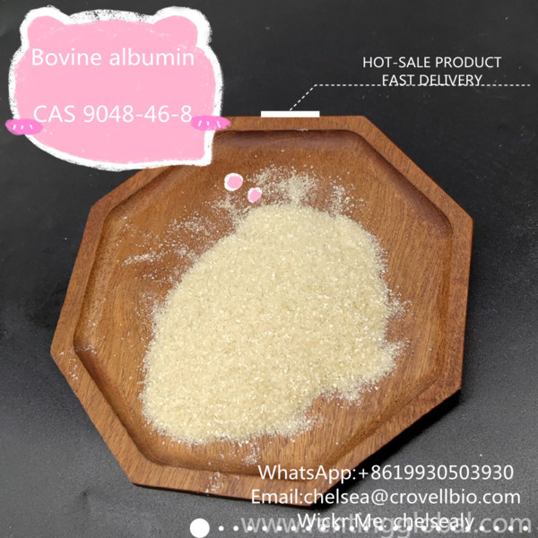 www.rentingglobal.com, renting, global, Shijiazhuang, Hebei, China, bovine albumin suppliers,buy bovine albumin,bovine albumin factory,bovine albumin prrice,9048-46-8, Factory Bovine albumin price CAS 9048-46-8 from China suppliers.WhatsApp:+8619930503930