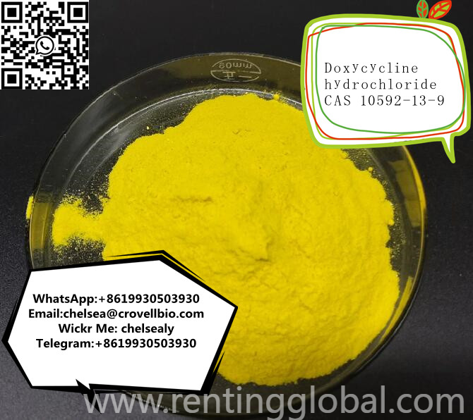www.rentingglobal.com, renting, global, Shijiazhuang, Hebei, China, doxycycline hydrochloride factory,buy doxycycline hydrochloride,doxycycline hydrochloride suppliers,10592-13-9, Factory Doxycycline hydrochloride price CAS 10592-13-9 from China suppliers.WhatsApp:+8619930503930