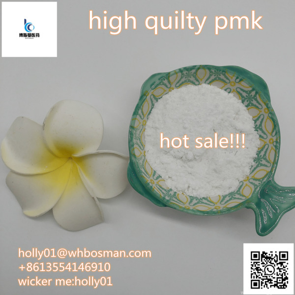 www.rentingglobal.com, renting, global, 133 New Bridge Rd, Singapore 059413, china factory, CAS: 13605-48-6 PMK Powder, 5413-05-8 with Factory Price holly01@whbosman.com