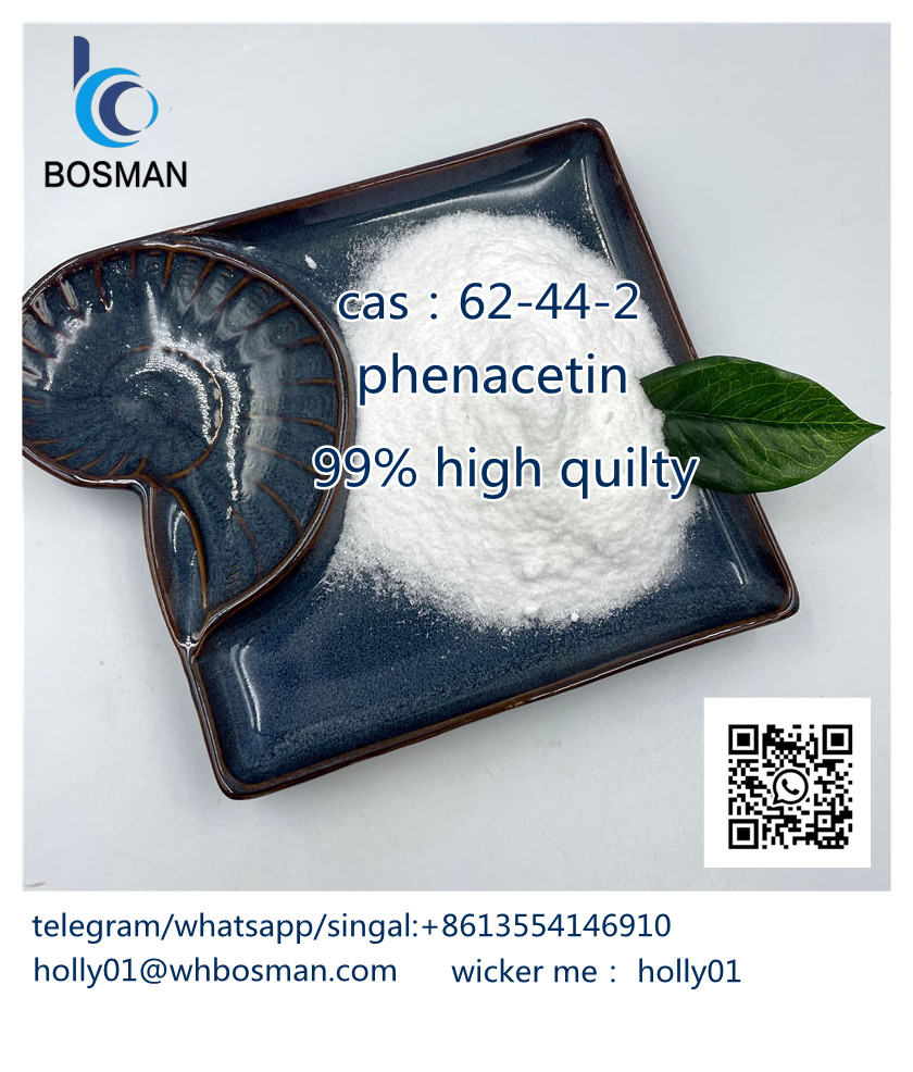 www.rentingglobal.com, renting, global, 133 New Bridge Rd, Singapore 059413, cas:62-44-2, Wholesale Price Chemical 99% Purity Benzocaine Fenacetin Phenacetina 62-44-2 Procaine holly01@whbosman.com