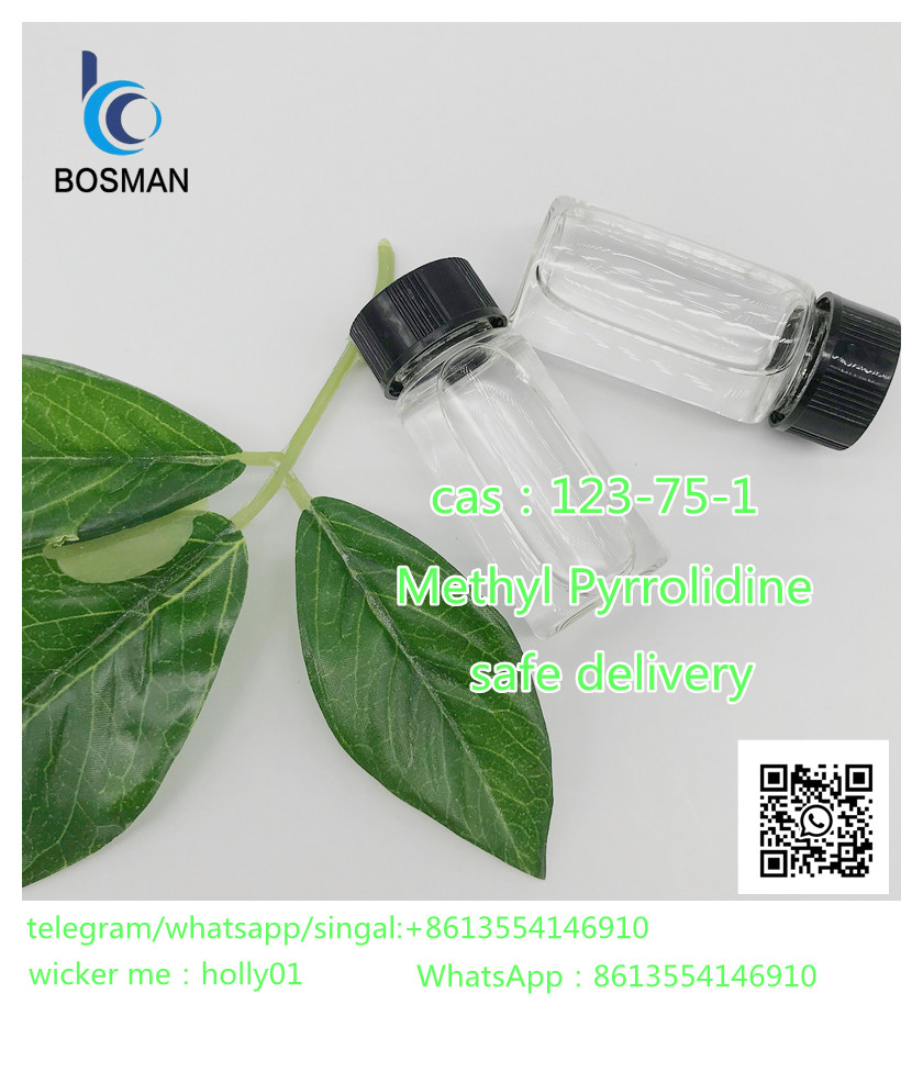 www.rentingglobal.com, renting, global, 133 New Bridge Rd, Singapore 059413, cas:123-75-1, Raw Material Pyrrolidine N Methyl Pyrrolidine CAS 123-75-1 for Medical Use holly01@whbosman.com