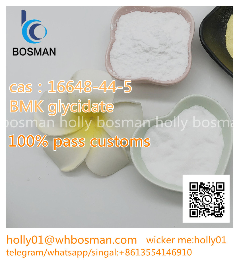 www.rentingglobal.com, renting, global, 133 New Bridge Rd, Singapore 059413, 16648-44-5, Manufacturer Supplier Pharmaceutical Intermediate BMK Glycidate Powder 16648-44-5 holly01@whbosman.com