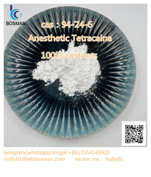 www.rentingglobal.com, renting, global, 133 New Bridge Rd, Singapore 059413, cas 94-24-6, Tetracaine CAS 94-24-6 with High Quality and Purity holly01@whbosman.com