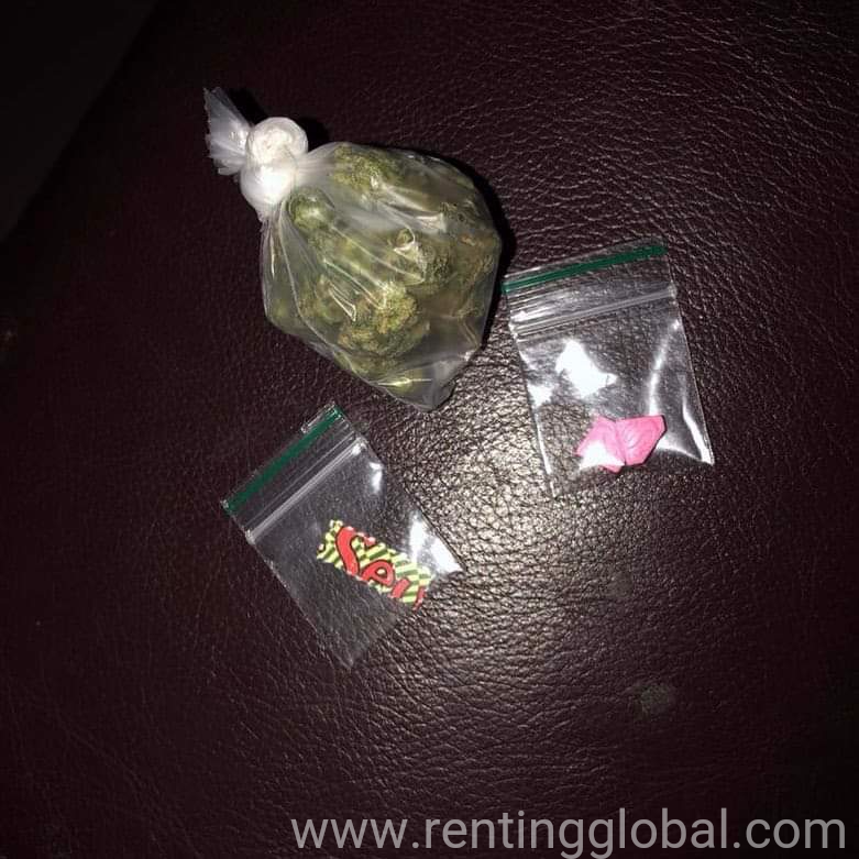 www.rentingglobal.com, renting, global, California, USA, psychedelic, Psychedelic lsd,dmt and magical mushrooms 