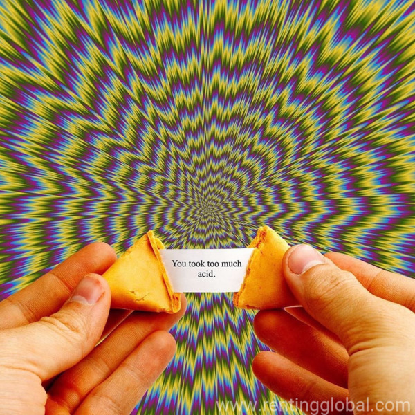 www.rentingglobal.com, renting, global, California, USA, Psychedelic lsd, dmt, magical mushrooms 