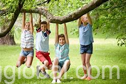 www.rentingglobal.com, renting, global, Ahmedabad, Gujarat, India, Girls  Games For T-ecvivid Kids