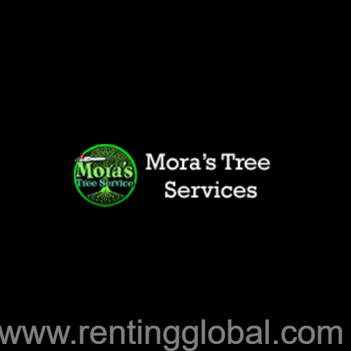 www.rentingglobal.com, renting, global, 741 Chance Rd, Marietta, GA 30066, USA, tree services, Mora's Tree Service LLC