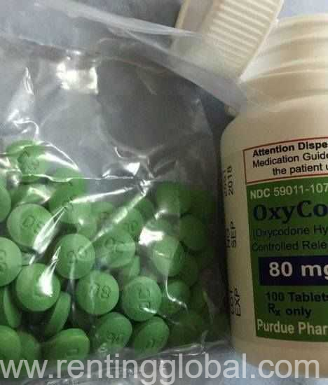 www.rentingglobal.com, renting, global, Dark Hollow Rd, Port Jefferson, NY, USA, percocet,xanax,oxyc0done,oxycotin,opana,soma,valium,norco,actavis, BUY Oxycotin / Oxycodone 10,20 a,40 and 80 mg PAIN KILLER PILLS ONLINE