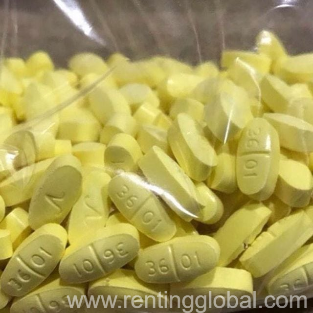 www.rentingglobal.com, renting, global, Dark Hollow Rd, Port Jefferson, NY, USA, opana,actavis,oxycotin,percocet,xanax,oxycod0ne,norco,valium, BUY Hydrocodone,Valium 10mg, xanax 2mg pain killer pills online 