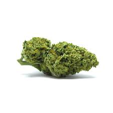 www.rentingglobal.com, renting, global, 1515 NE Broadway St, Portland, OR 97232, USA, buy marijuana online,where to buy weed online, weed for sale, legit marijuna shop shipping worldwide, Buy marijuana online 
