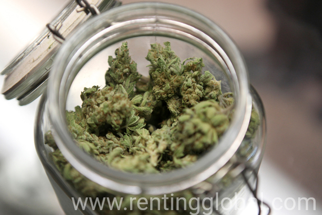www.rentingglobal.com, renting, global, 1515 NE Broadway St, Portland, OR 97232, USA, buy weed online,weed shop,buy marijuana online,legit weed shop,mail order weed online,legit online dispensary,vuber atlas,online dispensary shipping worldwide,best online dispensary,7th floor vapes,buy real weed online,mail order weed online,how to order marijuana online, Buy weed online cheap