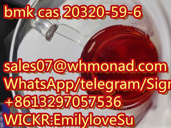 www.rentingglobal.com, renting, global, Chicago, IL, USA, bmk,20320, NEW BMK Glycidate CAS 20320-59-6/16648/5413-05-8/PMK 13605-48-6