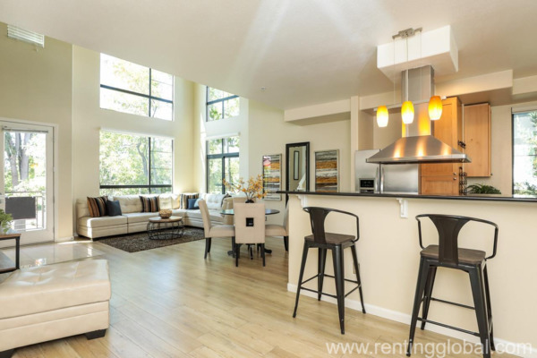 www.rentingglobal.com, renting, global, California, USA, apartment,house,rent,flat,condo,housing, Amazing gorgeous 1 bed 1 bath apt/packing unit